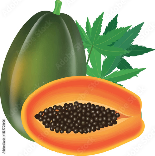 papaya on white background