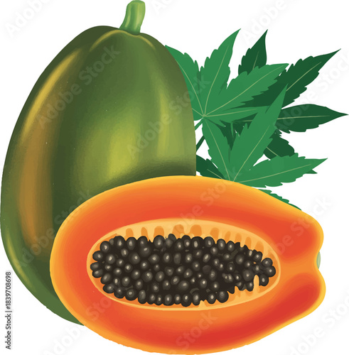 papaya on white background