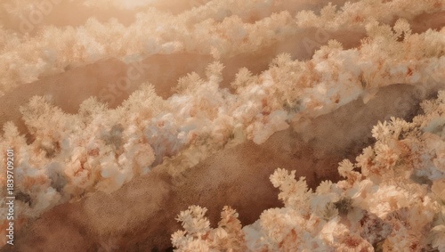 Warm golden hour light over a soft textured agricultural field.
