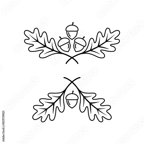 Oak leaves. Wreath of oak leaves. Autumn wreath. Acorn. Oak leaf ornament. Logotype. Oak branch and acorns. Leaf. Floral logo template. Forest. Logo. Acorn with leaves. Decorative painting.