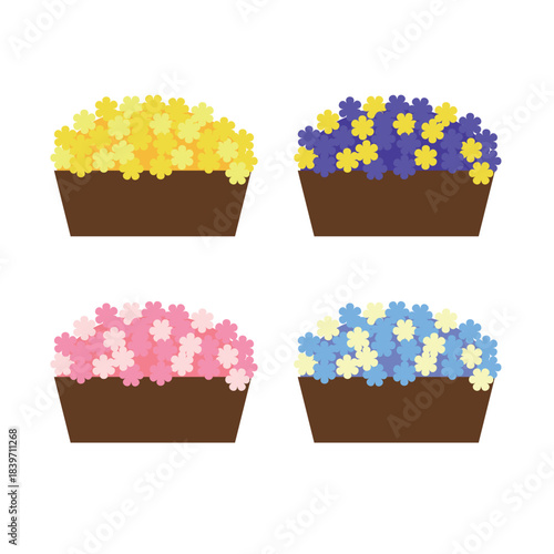 プランターのカラフルな花