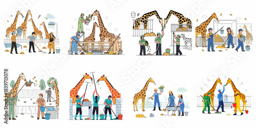 Zookeepers providing daily care and maintenance for giraffes at the zoo, illustrating feeding, cleaning enclosures, and essential animal welfare routines.