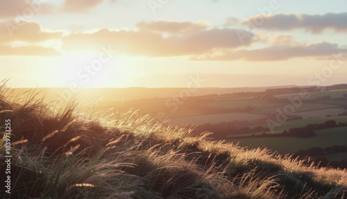 すすきが風に揺れる草原の丘の景色。太陽がのぼる朝日。太陽が沈む夕暮れ。A view of a grassy hill with pampas grass swaying in the wind. Morning sun rising. Dusk sun setting.