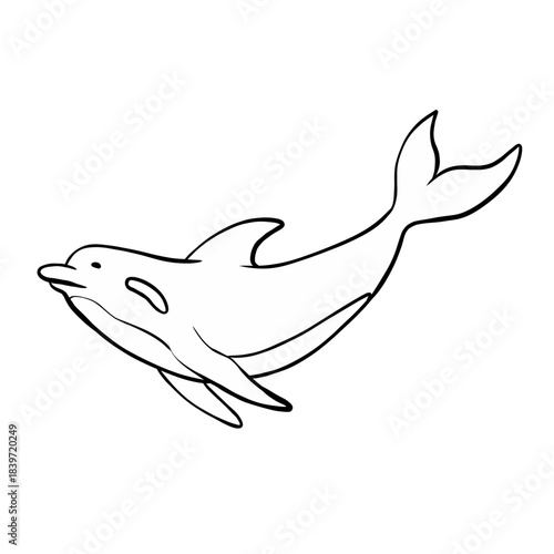 Line illustration of a dolphin