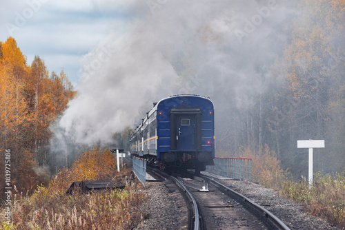 Steam retro train moves in the autumn forest.