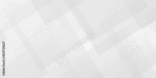 Modern Abstract white and gray triangle technology lines. Space design concept. Decorative web layout or poster, banner. White grey background vector design.