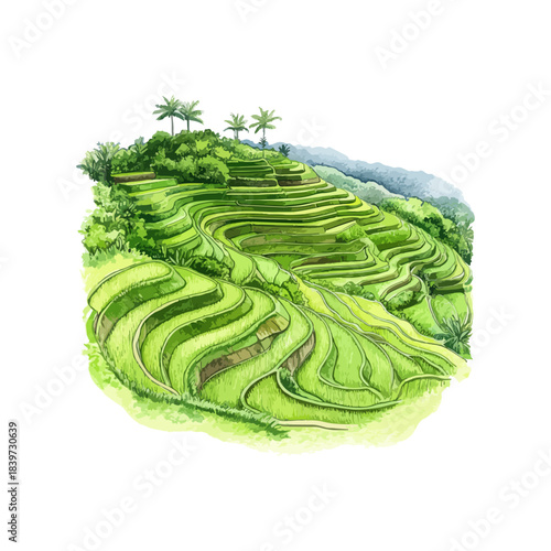 green rice terraces view hand drawn vector illustration