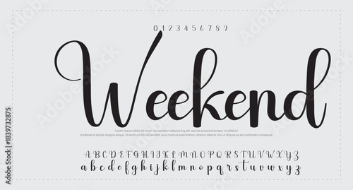 signature Font Calligraphy Logotype Script Brush Font Type Font lettering handwritten 