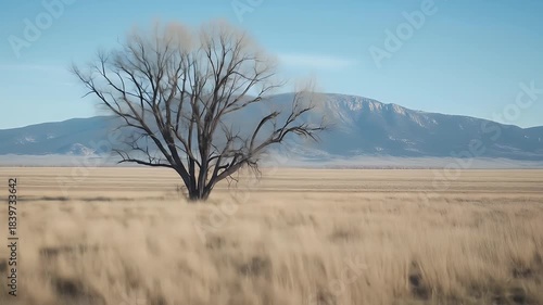 A lone tree stands in a vast, windswept field, a backdrop of mountains stretching into a pale blue sky