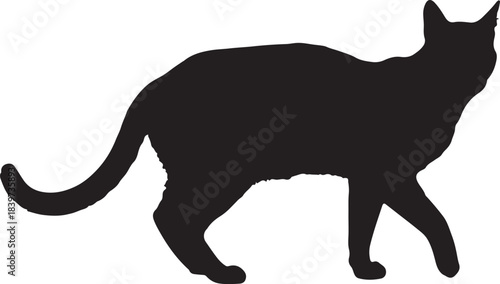 Cat vector illustration depicting a playful feline with expressive eyes and whiskers isolated on white