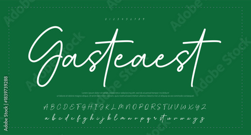 Elegant Script Font Alphabet Typography 