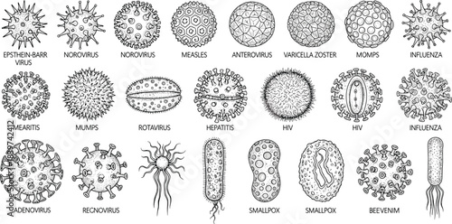 Adobe Illustrator Artwork