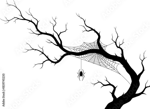 Dark spooky tree branch with hanging spider and detailed cobweb illustration, eerie Halloween silhouette design for horror themes, creepy forest atmosphere vector art
