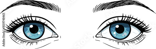 Stylized Illustration of Two Beautiful Cartoon Eyes with Blue Iris