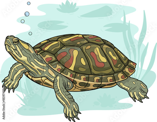Cartoon Style Detailed Turtle Swimming Underwater Illustration Animal