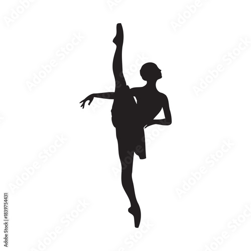 Graceful ballet dancer silhouette performing an elegant pose