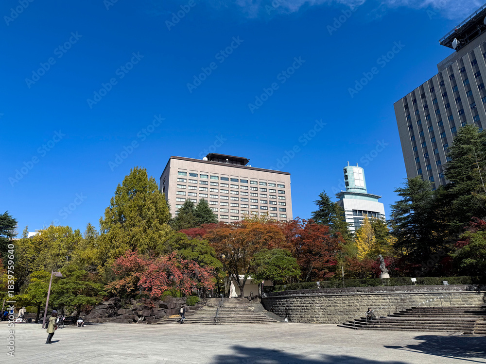 Obraz premium 青空と秋の仙台市勾当台公園から見上げる宮城県庁