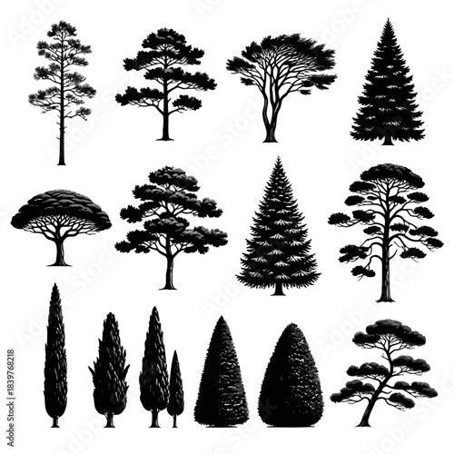 Collection of various tree silhouettes isolated on