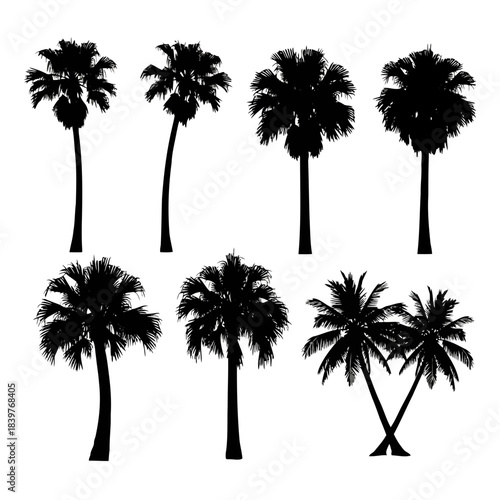 Eight black silhouette palm trees isolated on