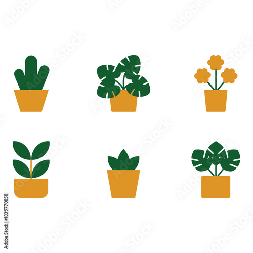 Collection of six potted houseplants in yellow pots