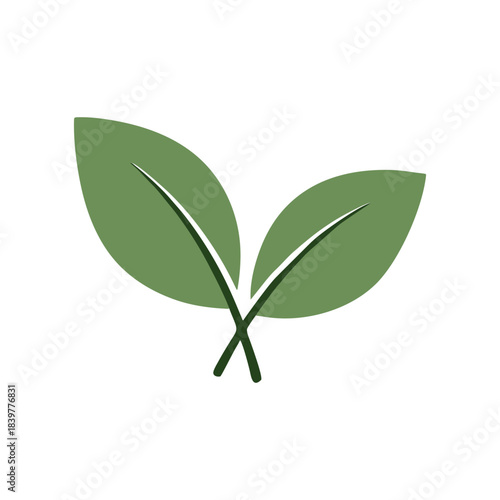 vector green leaf isolated on white background