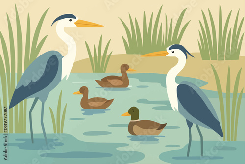 Wetland Birds Flat Vector Illustration