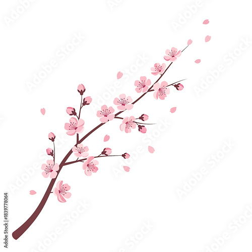 Minimalist Cherry Blossom Branch Vector Illustration