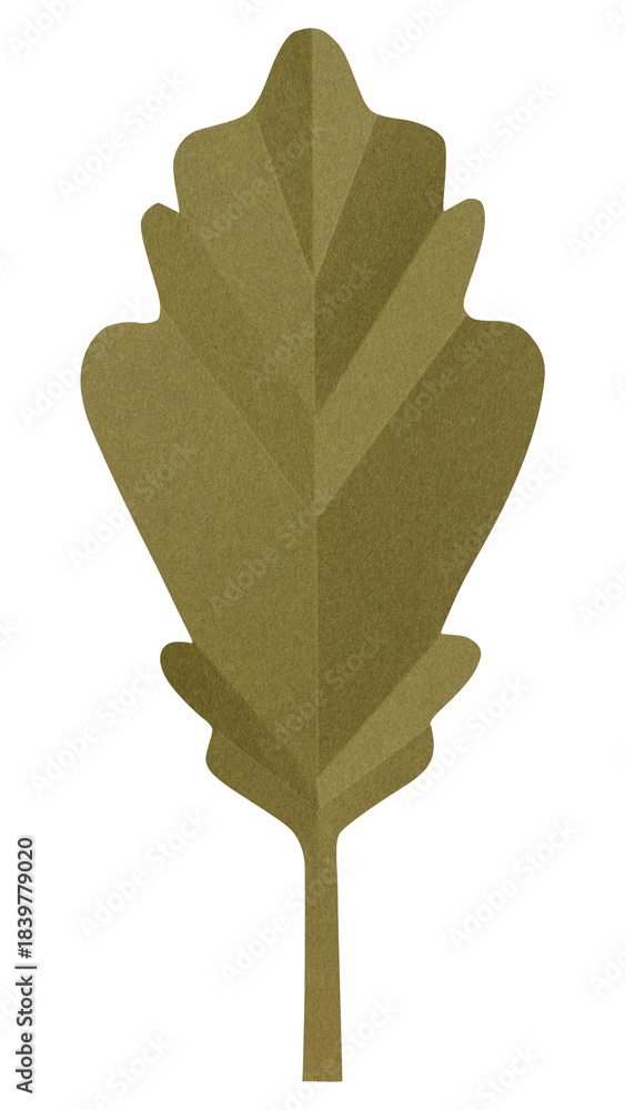 Fototapeta premium PNG green oak leaf , paper craft element, transparent background