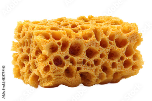 A vibrant yellow porous cleaning and bath sponge isolated on a crisp white background.