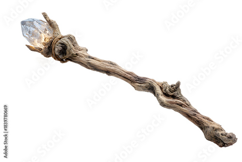 Enchanted crystal wand. Magic wizard staff. Dead tree isolated on white.