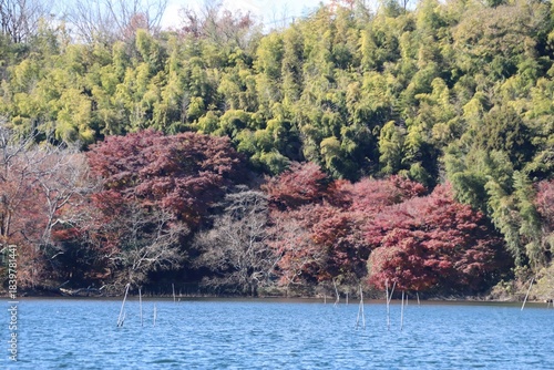 伊豆 一碧湖の秋。大池。