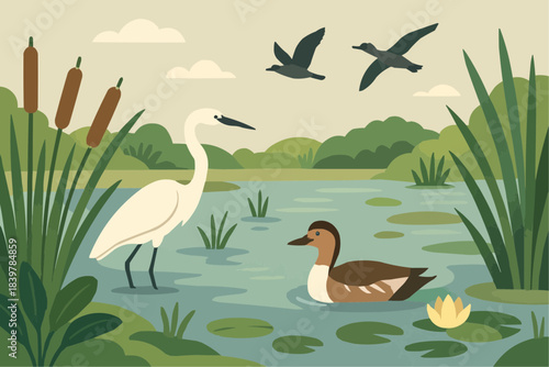 Wetland Pond Flat Vector Illustration