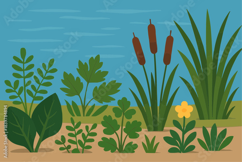 Wetland Vegetation Flat Vector Illustration