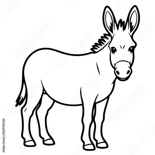 Donkey in Silhouette: A captivating silhouette of a donkey stands with an air of gentle curiosity. The simplicity of the black and white emphasizes its form.