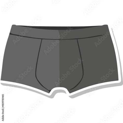 Gray Boxer Briefs with White Trim Elastic Waistband and Fly Detail Clean Flat Design Isolated on Black Background