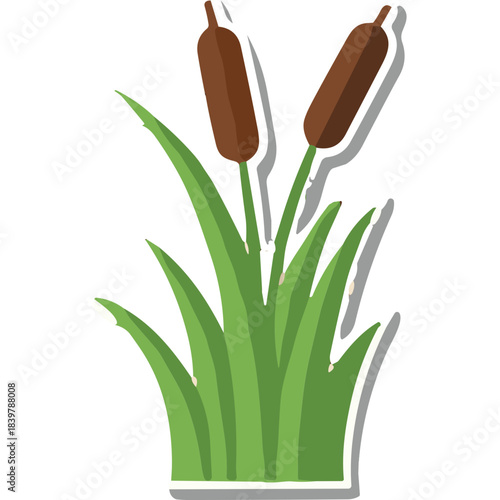 Green Cattails With Brown Seed Heads And Long Grass In A Flat Design Style Isolated On Black Background