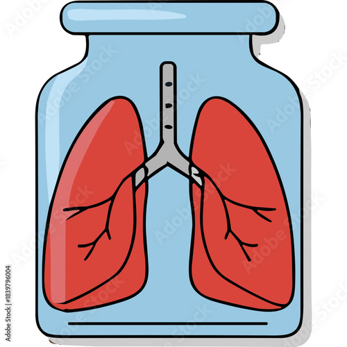 Illustration of red lungs with bronchi inside a blue glass jar isolated on a white background representing medical health and respiration science and anatomy concept
