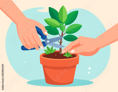 Close-up of hands pruning and tending to a small green plant in a terracotta pot, illustrating gardening and plant care.
