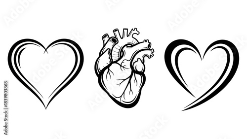 Collection of Three Heart Symbols: Anatomical and Stylized Designs