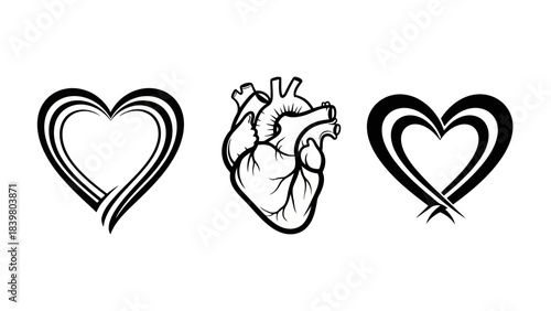 Three Distinct Heart Graphics: Anatomical, Stylized, and Abstract Love Symbols