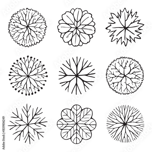 CAD Trees Top View Set – Landscape Design and Architectural Elements