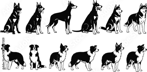 High-Contrast Black and White Vector Set of Popular Working Dog Breeds Including German Shepherd, Husky, Doberman Pinscher, and Border Collie Poses for Pet Clinic Logo Design.
