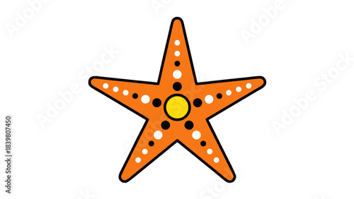 starfish on white background