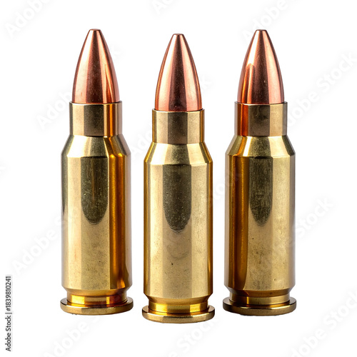 Wallpaper Mural Ammunition Display: An arsenal of three high-caliber bullets, metallic bodies gleaming with precision, sit still as a symbol of power. Torontodigital.ca