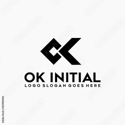 Ok initials logo vector image