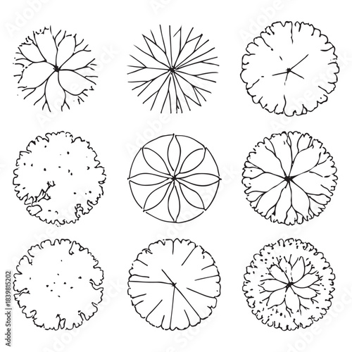 CAD Trees Top View Set – Landscape Design and Architectural Elements