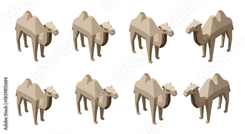 Camel poses set with transparent background