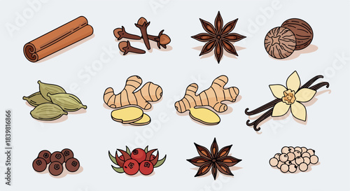 Assorted spices collection with transparent background