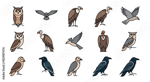 Birds outline set with transparent background