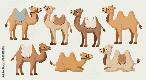 Cartoon camels in various poses with transparent background